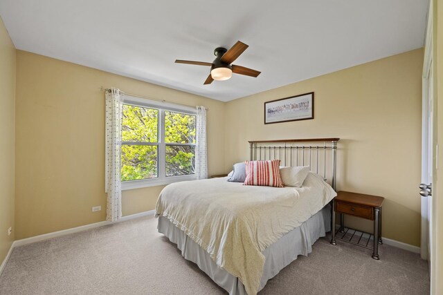 1115 Fagan Rd, Batavia, IL 60510 - photo 24