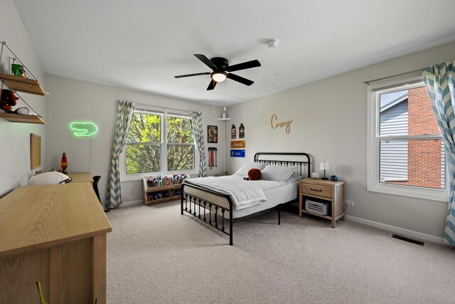 1115 Fagan Rd, Batavia, IL 60510 - photo 26