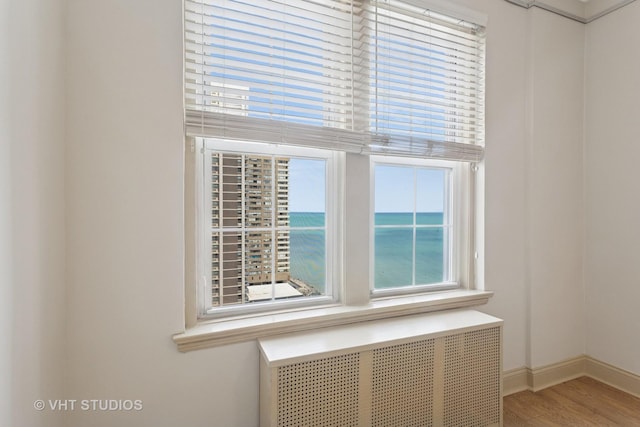 room details with a water view, baseboards, radiator heating unit, and wood finished floors