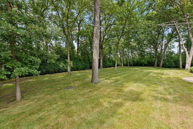 view of yard