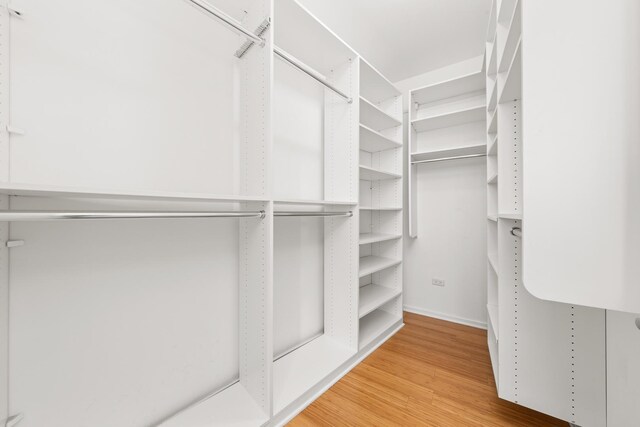 spacious closet featuring light wood finished floors