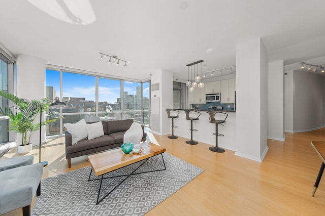 living room with a view of city, rail lighting, baseboards, and light wood finished floors
