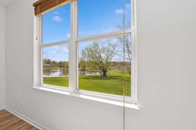 details with baseboards, wood finished floors, and a water view