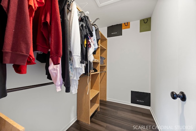 516 Gardiner Ct, Romeoville, IL 60446 - walk in closet with wood finished floors