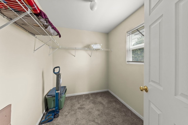 1844 Candlelight Cir, Montgomery, IL 60538 - spacious closet with carpet