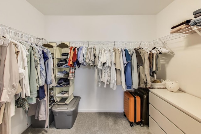 spacious closet with carpet