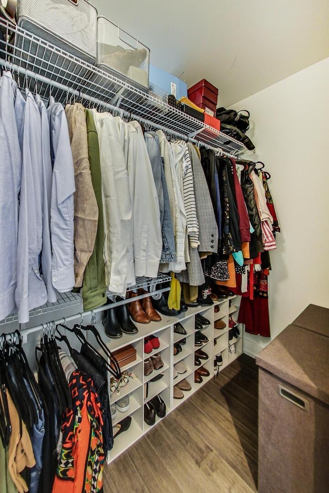 spacious closet featuring wood finished floors