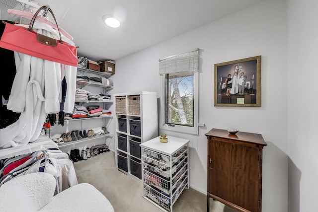 walk in closet featuring carpet floors