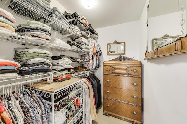 view of spacious closet