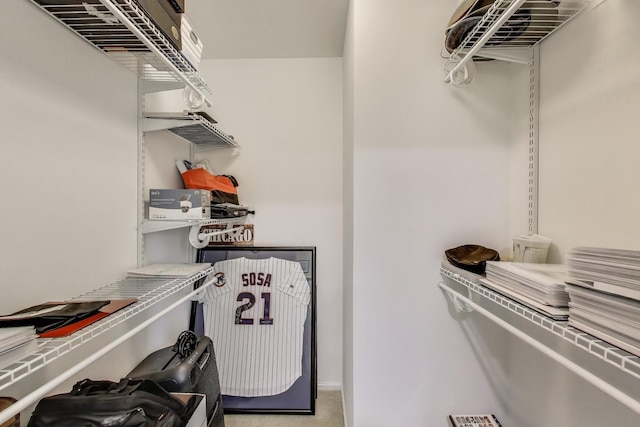 view of walk in closet