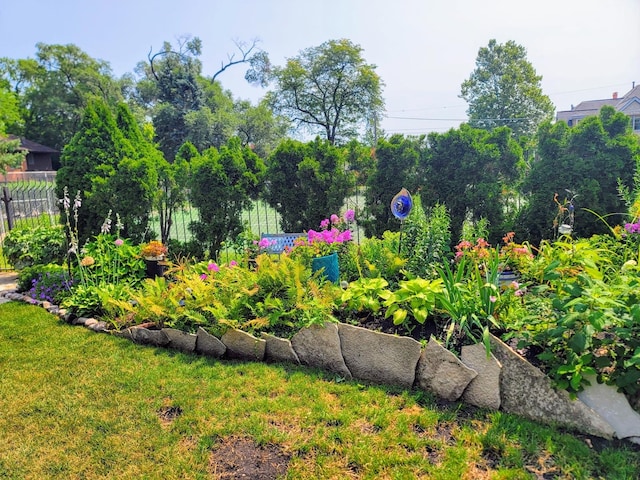 view of yard with fence and a vegetable garden
