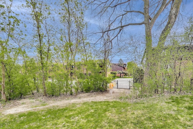 view of yard with fence and a gate