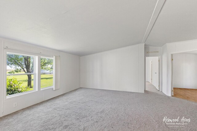 10868 E Le Claire St, Grant Park, IL 60940 - photo 4