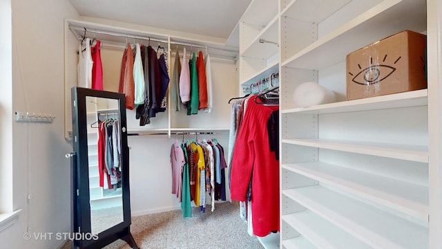 196 Tyler Ct, Lake Zurich, IL 60047 - walk in closet with carpet flooring