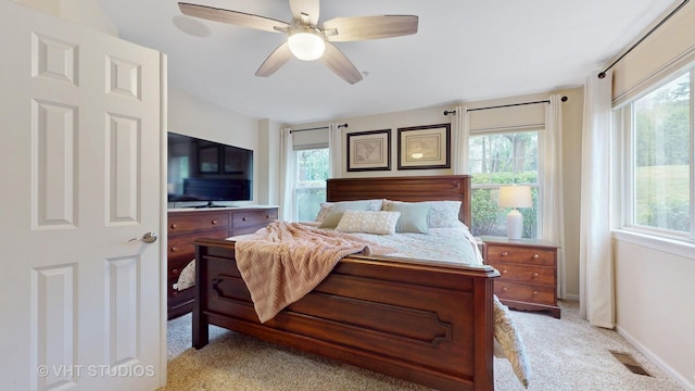 196 Tyler Ct, Lake Zurich, IL 60047 - bedroom featuring light carpet and multiple windows