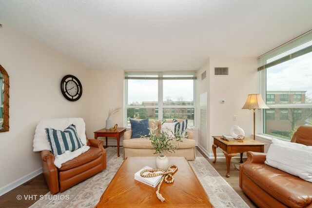 1285 Luther Ln Unit 369B, Arlington Heights, IL 60004 - living room featuring a healthy amount of sunlight, baseboards, and visible vents
