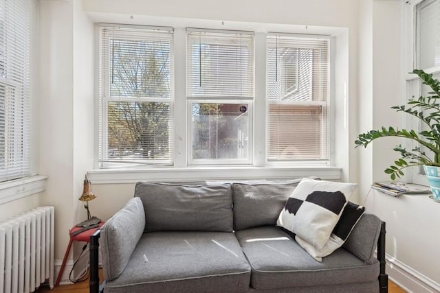 interior space featuring radiator heating unit, baseboards, and wood finished floors