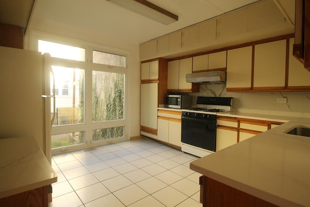 5517 S Dorchester Ave, Chicago, IL 60637 - kitchen featuring range with gas stovetop, stainless steel microwave, under cabinet range hood, and healthy amount of natural light