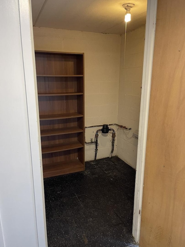 5517 S Dorchester Ave, Chicago, IL 60637 - view of walk in closet