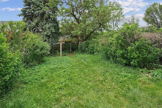 3945 W Dakin St, Chicago, IL 60618 - view of yard
