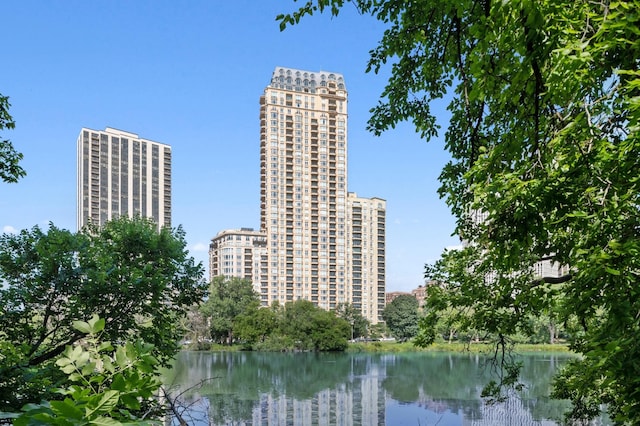 2550 N Lakeview Ave Unit N906, Chicago, IL 60614 - view of water feature featuring a view of city