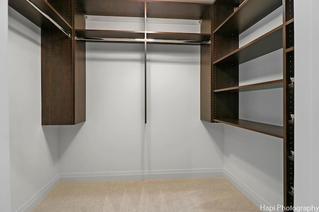 spacious closet featuring carpet flooring