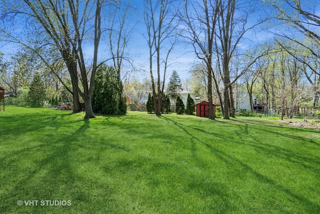 view of yard with an outdoor structure and a shed