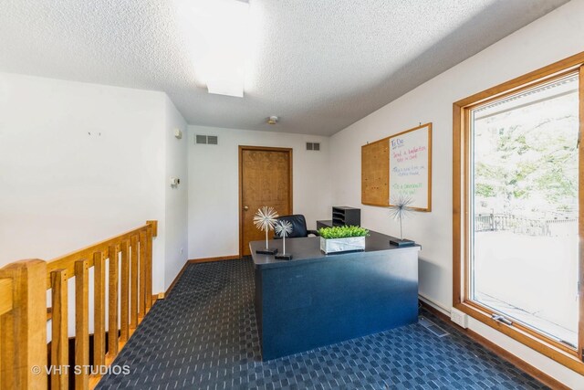 37756-88 N Cedar Lake Rd, Lake Villa, IL 60046 - photo 17