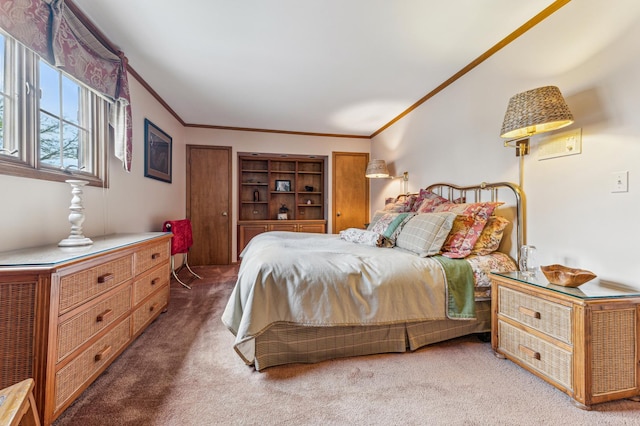 1135 Buttonwood Ln, Northbrook, IL 60062 - bedroom featuring crown molding, carpet, and two closets