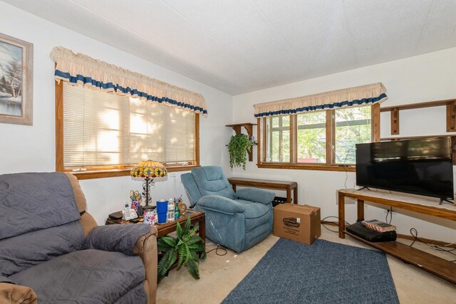7834 W Foresthill Ct Unit 1Cr, Palos Heights, IL 60463 - view of carpeted living room