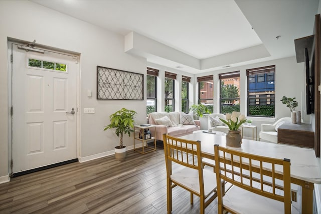 interior space with baseboards, a raised ceiling, wood finished floors, and a wealth of natural light