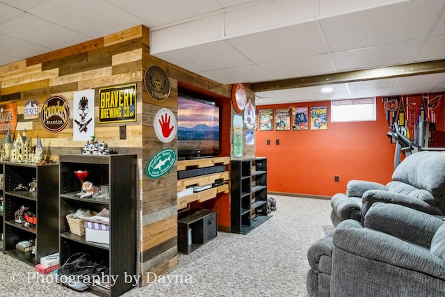 living area featuring wood walls, carpet flooring, and baseboards