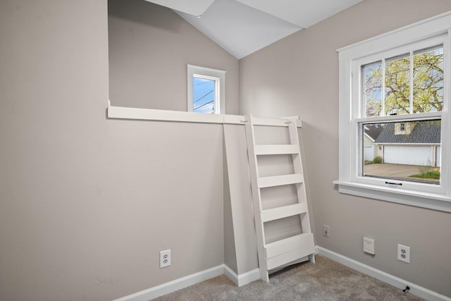 interior space featuring baseboards and carpet floors