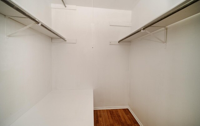 4150 Brentwood Ln, Waukegan, IL 60087 - spacious closet with dark wood-type flooring
