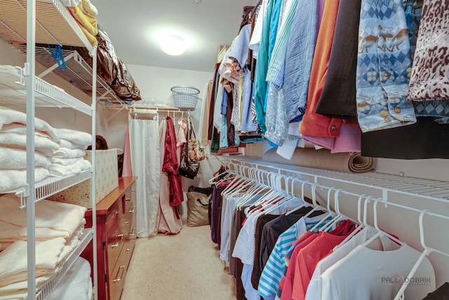 walk in closet with carpet