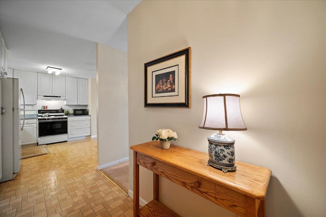 1053 W Ogden Ave Unit 350, Naperville, IL 60563 - hall featuring baseboards and brick patterned floor