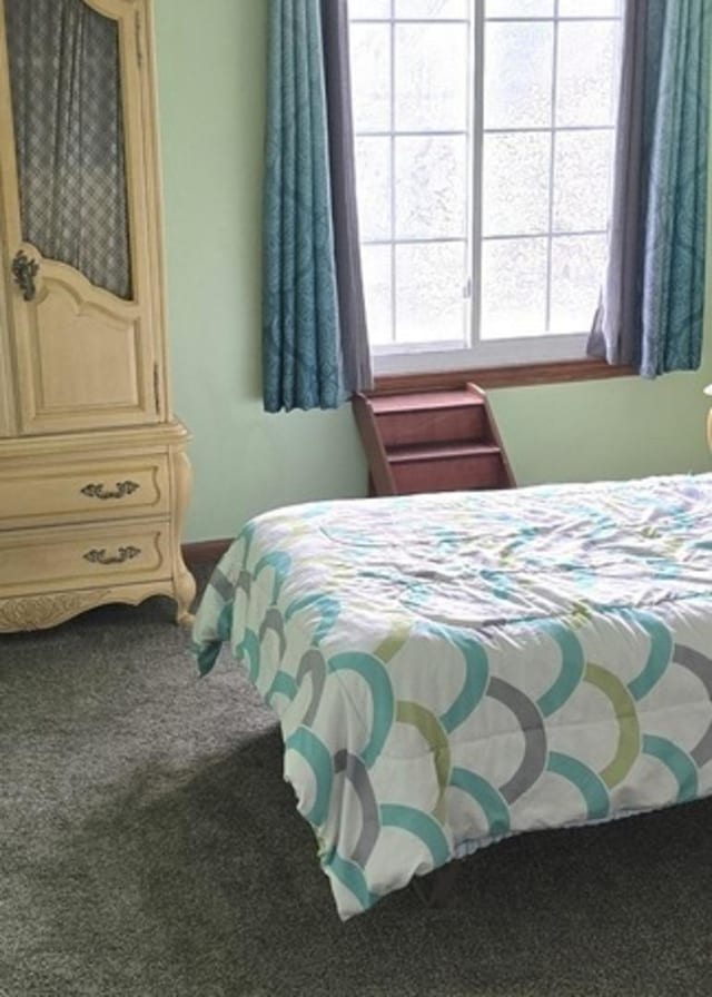 210 Braxton Ct, Grayslake, IL 60030 - bedroom featuring carpet