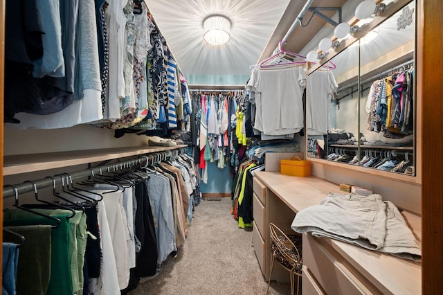41W838 High Point Ln, Elburn, IL 60119 - walk in closet featuring carpet