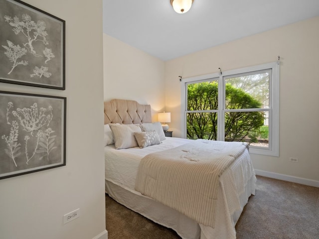 3035 Rollingridge Rd, Naperville, IL 60564 - bedroom featuring baseboards and carpet floors
