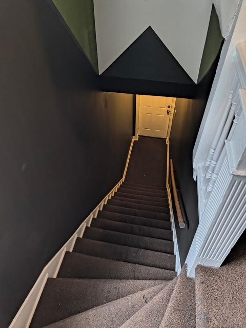 staircase with carpet floors