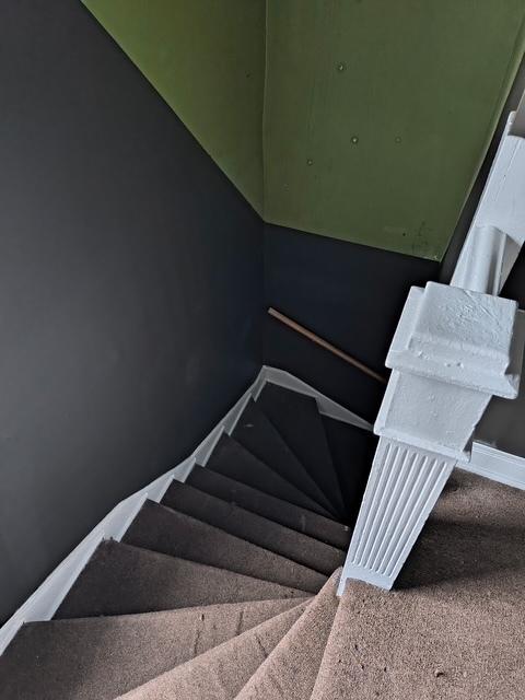 stairway featuring carpet