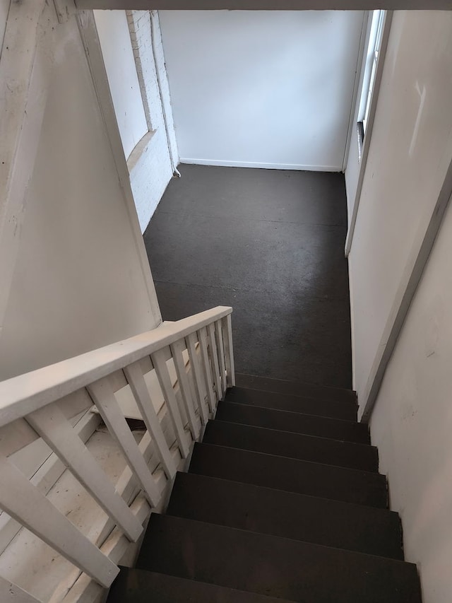 staircase featuring carpet