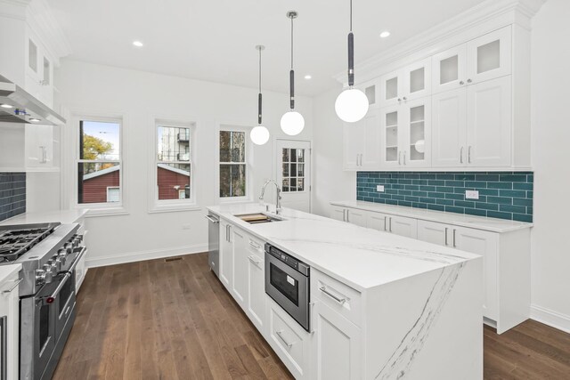 6460 S Kenwood Ave, Chicago, IL 60637 - kitchen with a sink, dark wood-style flooring, stainless steel appliances, tasteful backsplash, and white cabinetry
