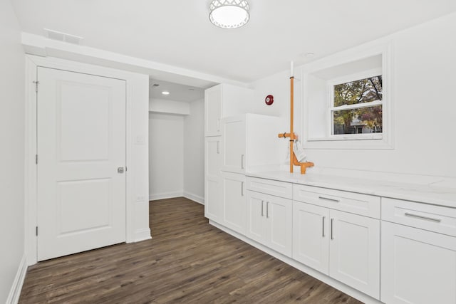 6460 S Kenwood Ave, Chicago, IL 60637 - interior space with dark wood-style floors, light stone countertops, visible vents, baseboards, and white cabinets