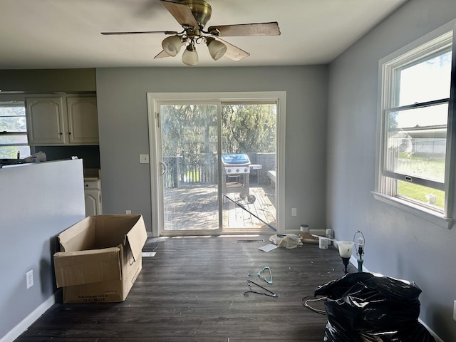 748 Marcy St, Ottawa, IL 61350 - dining area with a ceiling fan, dark wood-style floors, and a wealth of natural light