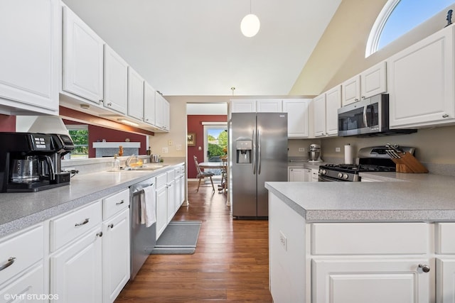 184 Stillwater Dr, Hainesville, IL 60030 - kitchen featuring stainless steel appliances, a sink, light countertops, dark wood finished floors, and lofted ceiling