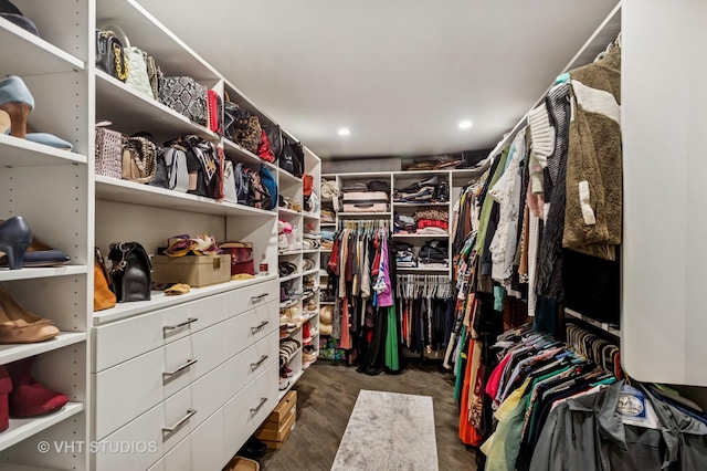 view of walk in closet