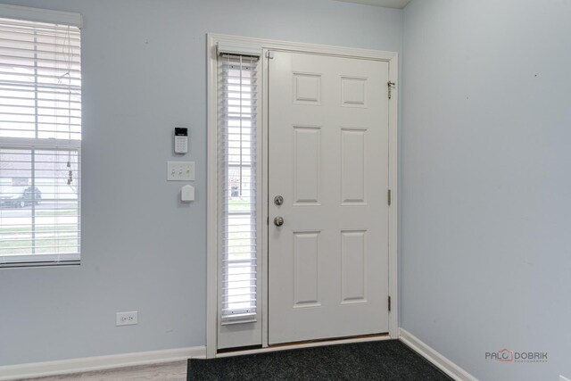 267 Maryland Ln, Pingree Grove, IL 60140 - foyer featuring baseboards