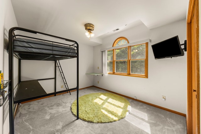2398 S Williamsburg Dr, Plainfield, IL 60586 - unfurnished bedroom with carpet flooring