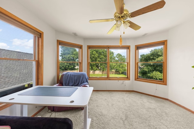 2398 S Williamsburg Dr, Plainfield, IL 60586 - carpeted office featuring baseboards and a ceiling fan
